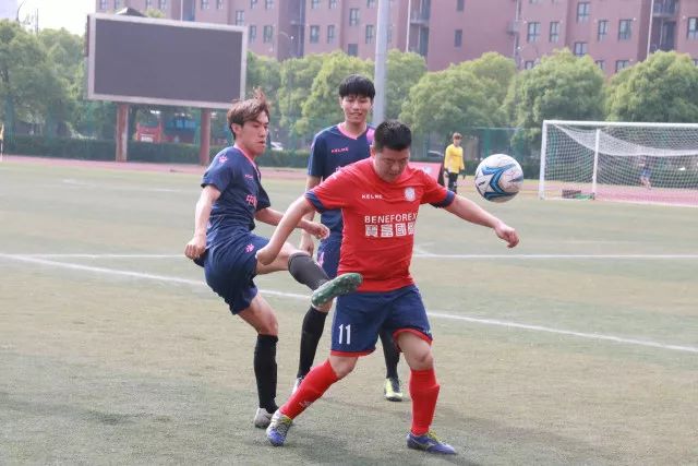 冠军出炉！福建省2024年和美乡村气排球大赛（村气排）成功举办
